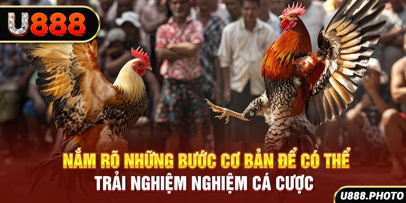 Nắm rõ những bước cơ bản để có thể trải nghiệm nghiệm cá cược